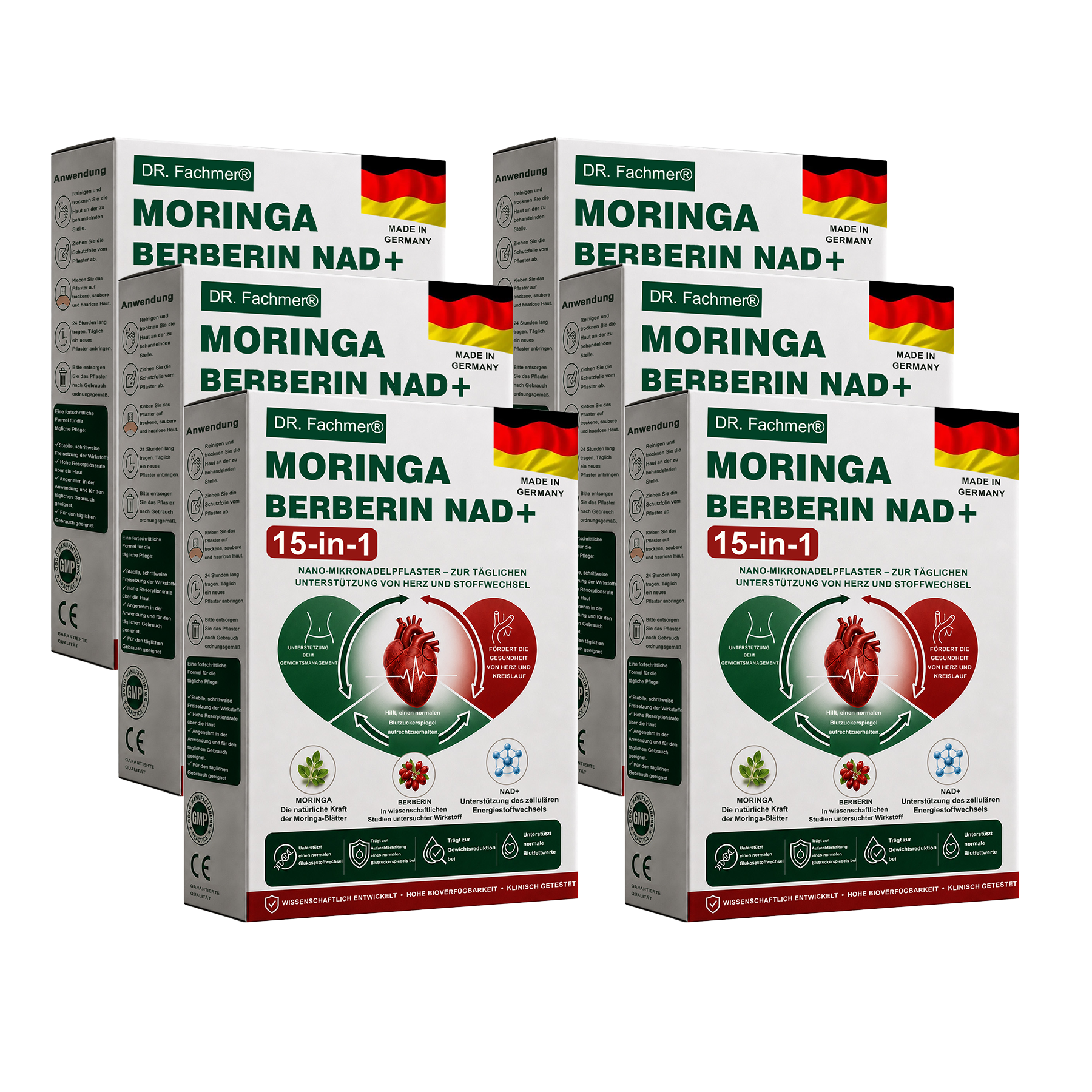 🔥 6 Boxen – Bis zu 31 kg abnehmen